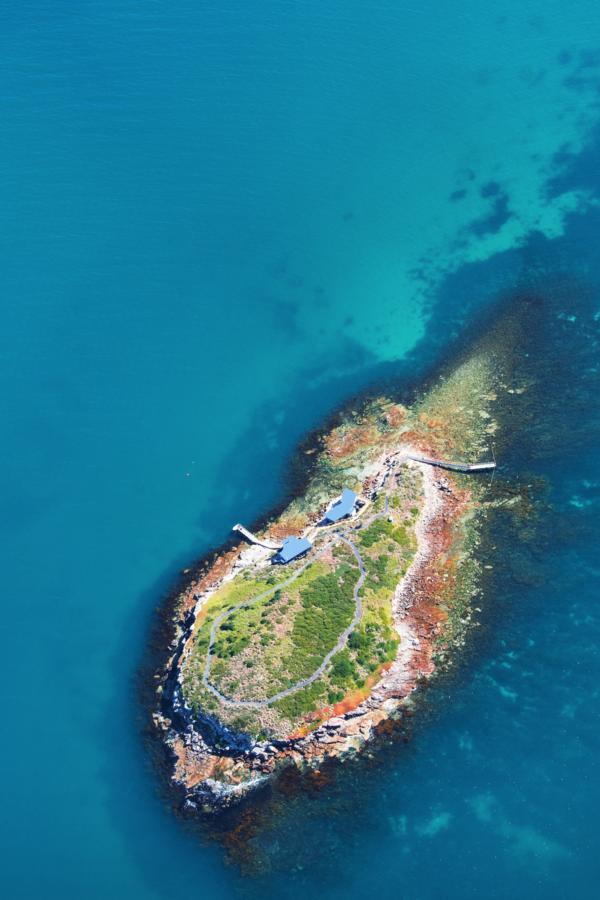 Picnic Island Hotel Коулс Бей Екстериор снимка